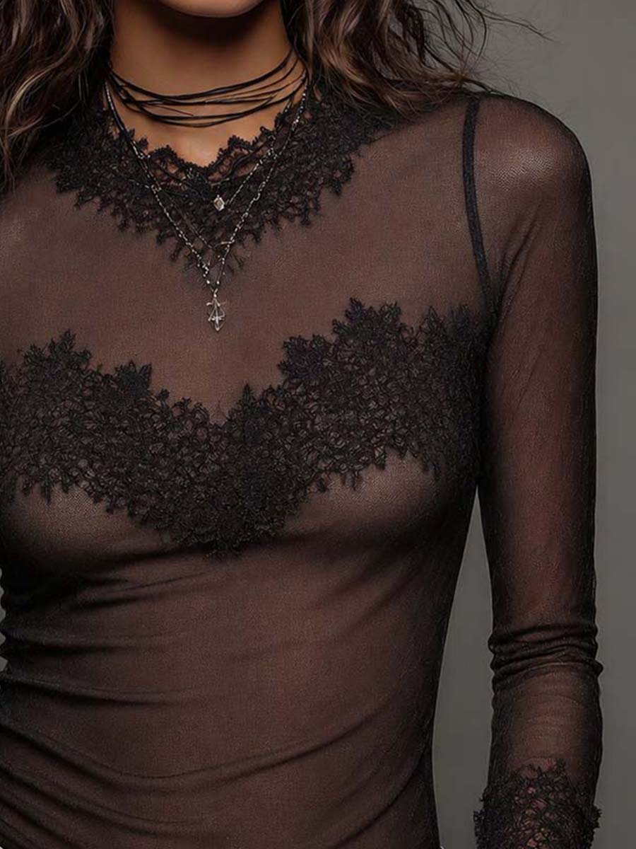 Boho V Lace Trim Sheer Mesh Long Sleeve Top