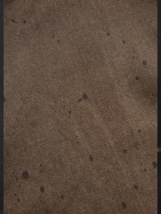 Vintage Washed Taupe Western Slim Fit Button-Down Shirt