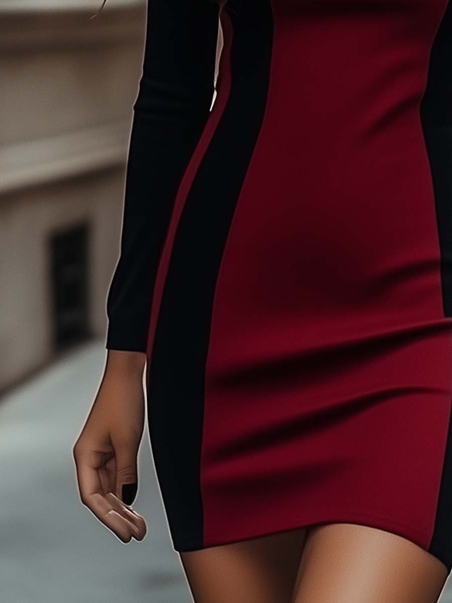 Elegant Two-Tone Bodycon Mini Dress