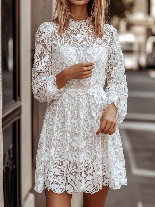 Stylish Round Neck A-line Long Sleeve Lace Dress