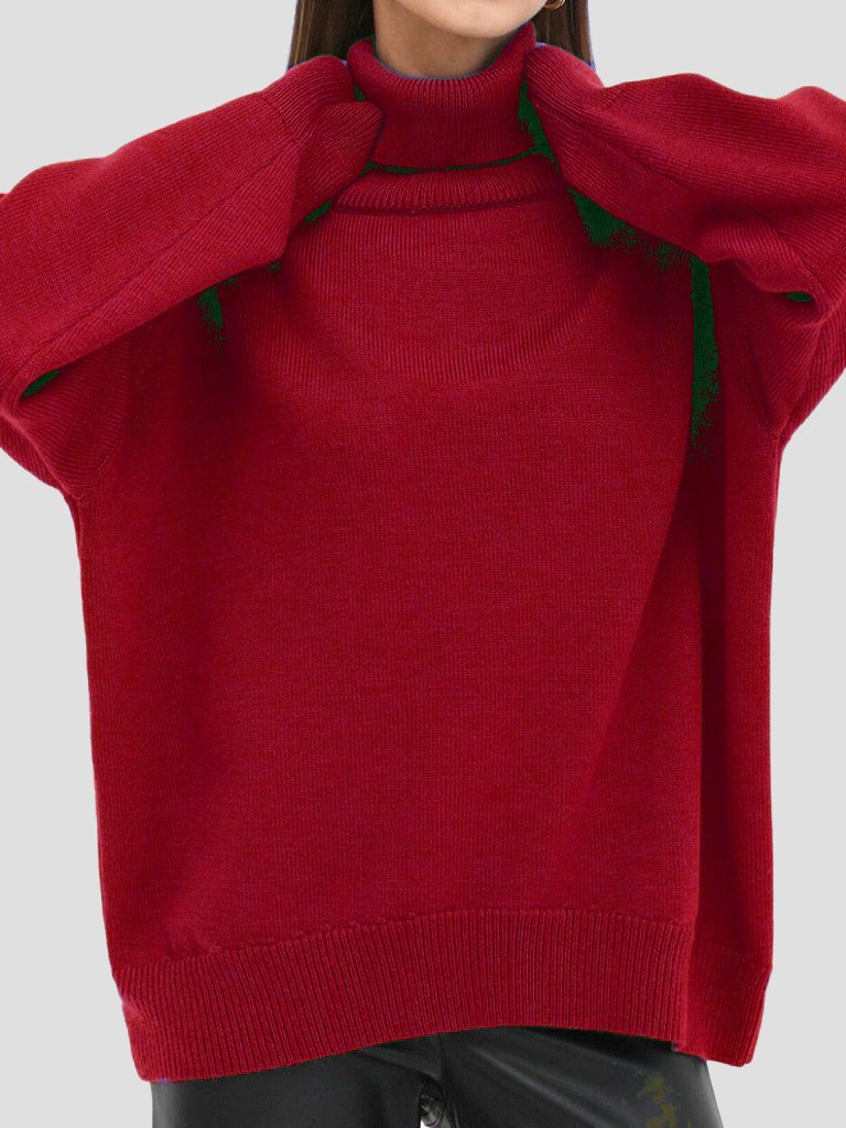 Basic Turtleneck Solid Color Ribbed Trim Knited Sweater