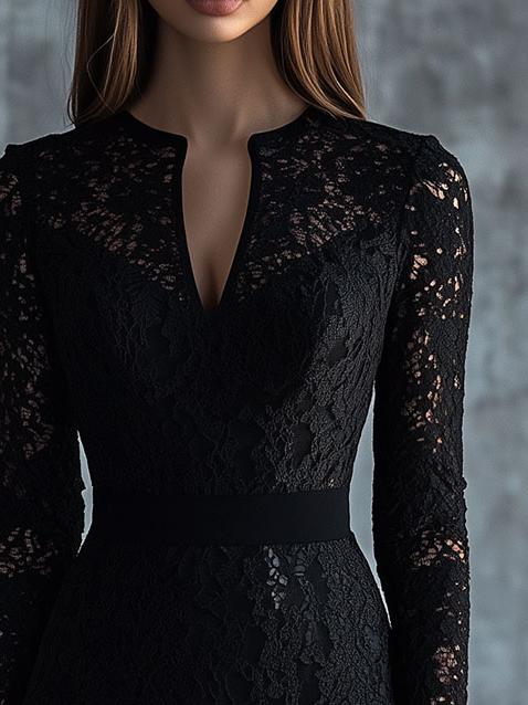 Elagant V-neck Daily and Holidy Lace Bodycon Dress