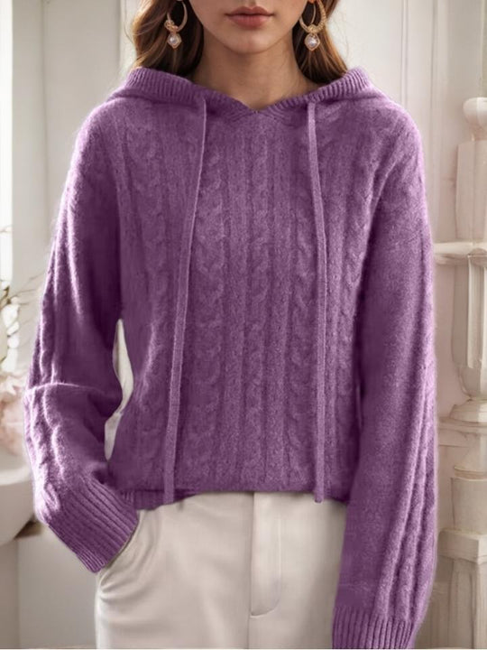 Leisure Jacquard Knit Hooded Pullover Sweater