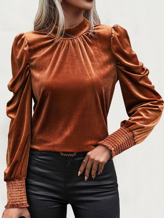 Stylish Turtleneck and Tie-neck Pleated Velvet Top