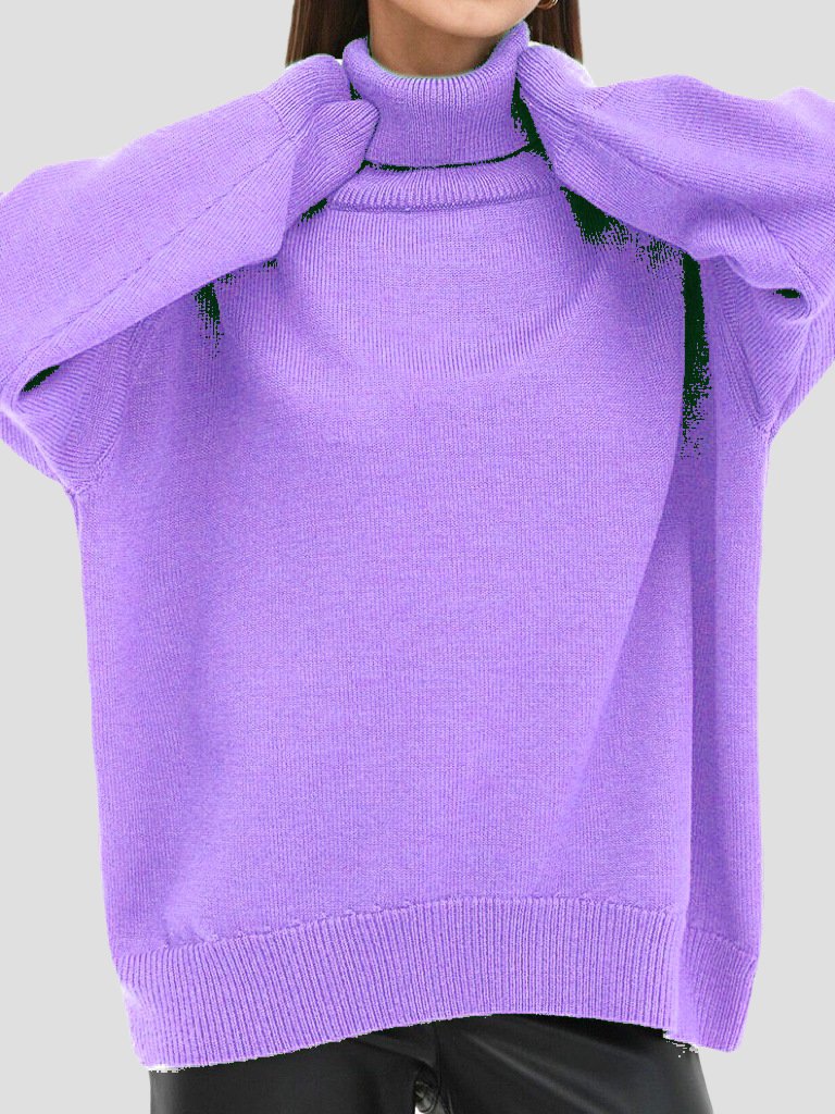 Basic Turtleneck Solid Color Ribbed Trim Knited Sweater