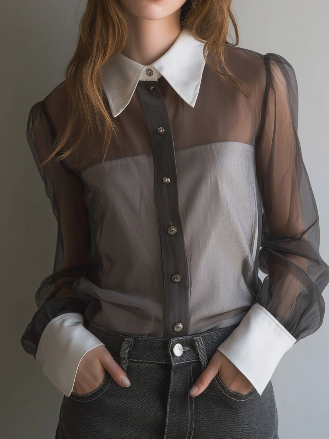 Retro Black Sheer Organza Contrast-Collar Blouse
